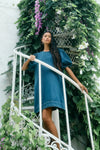 Sophia Denim Dress