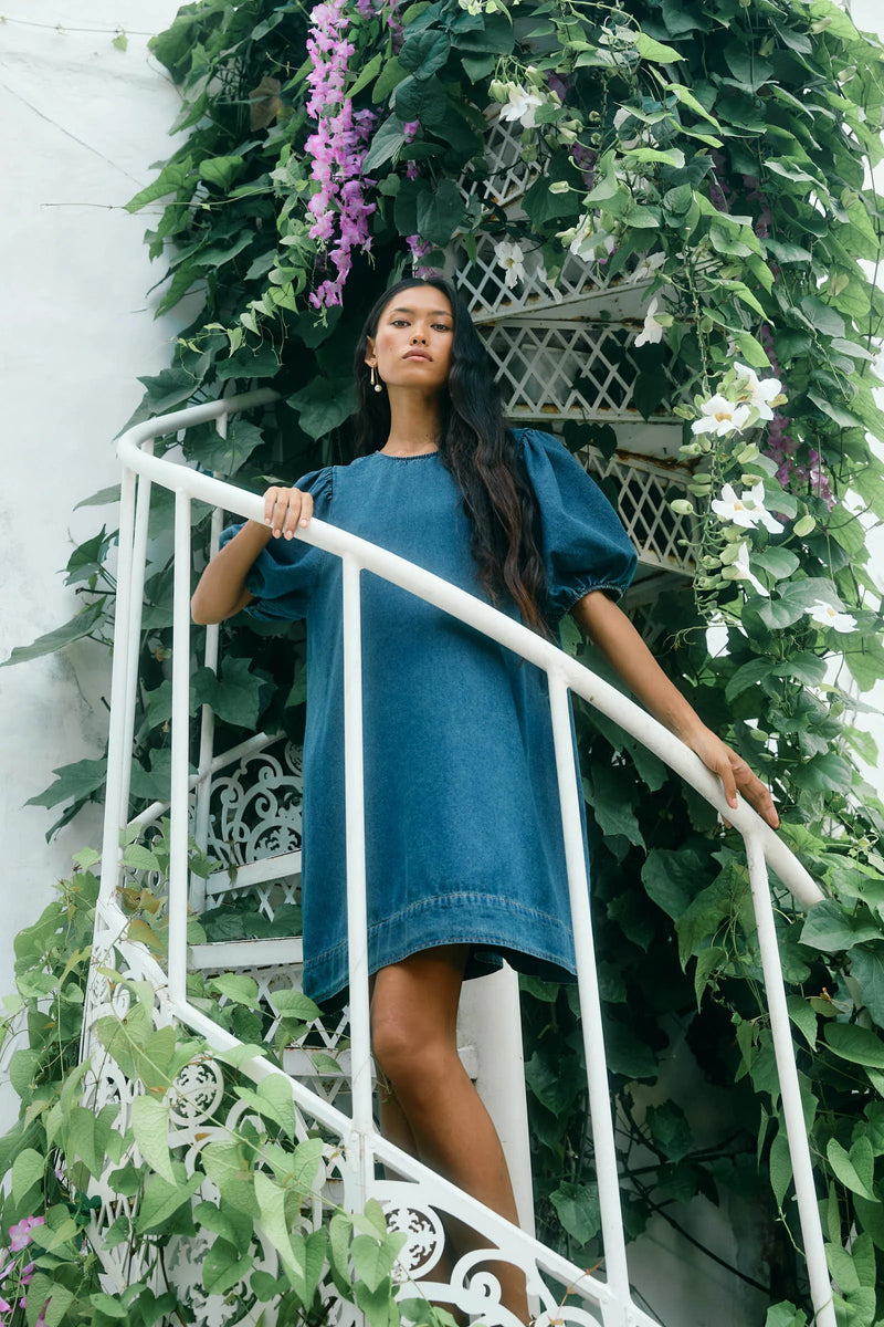 Sophia Denim Dress