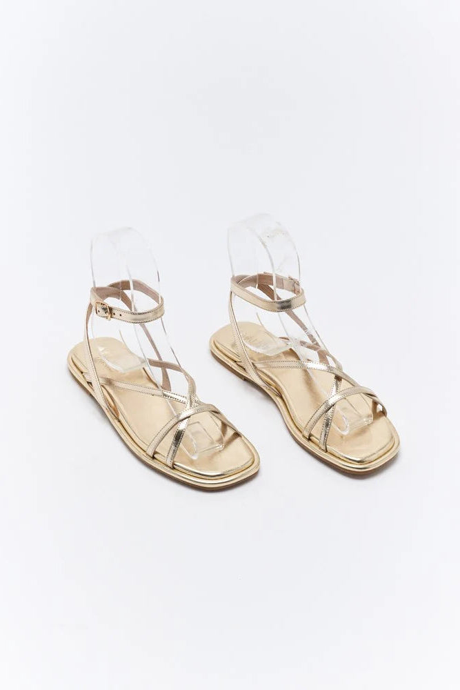 Pair of clear sandal shoes on a white background