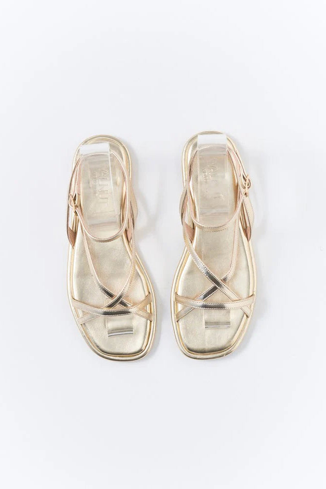 Pair of gold sandals on a white background