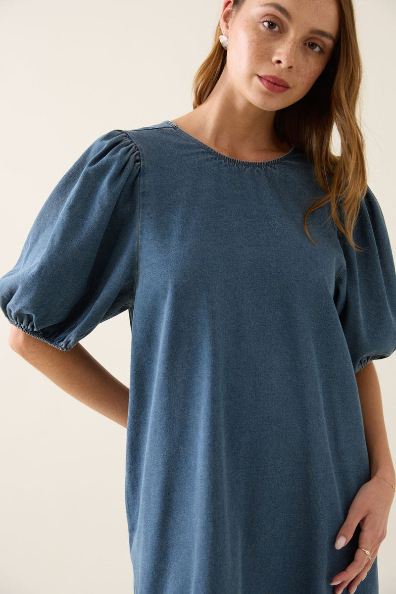 Sophia Denim Dress